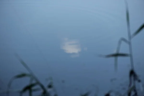 Nuvem branca refletida no rio — Fotografia de Stock