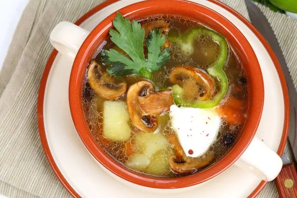 Mushroom soup from field mushrooms with a potato and greens — Stock Photo, Image