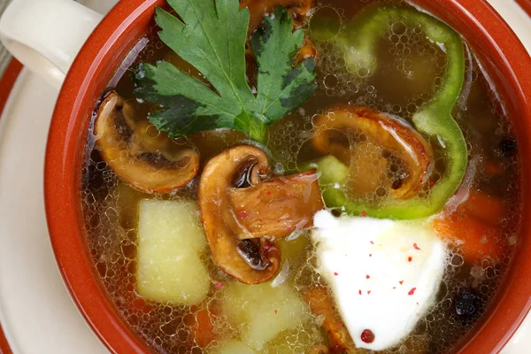 Грибний суп з польових грибів з картоплею та зеленню — стокове фото