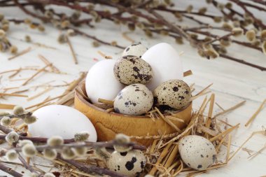 ahşap kase ve Söğüt dallarında bıldırcın ve tavuk yumurta