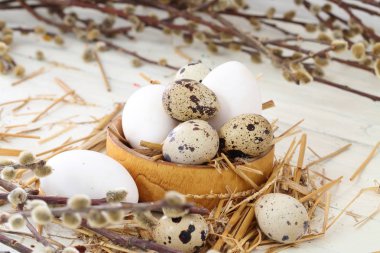 ahşap kase ve Söğüt dallarında bıldırcın ve tavuk yumurta