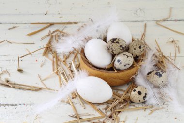 ahşap kase ve Söğüt dallarında bıldırcın ve tavuk yumurta