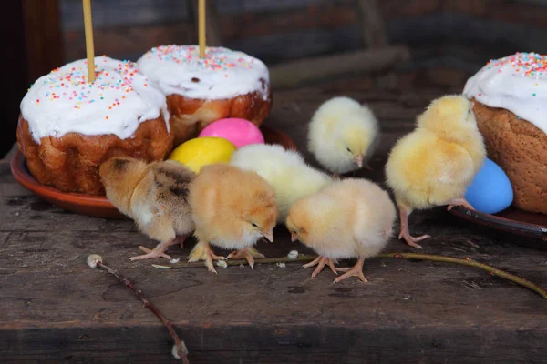 复活节蛋糕附近的鸡 — 图库照片