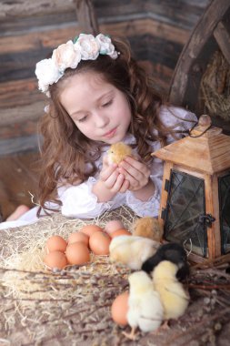 küçük bir canlı tavuk ile oynayan kız