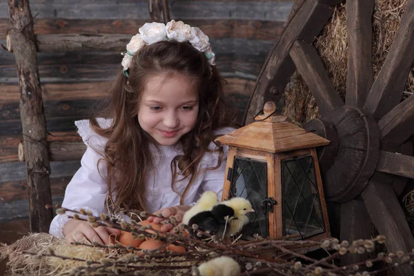 Girl in white dress admiring young Chicks — Stock Photo, Image