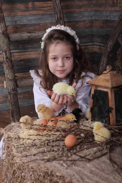 Живая курица сидит на ладонях девочек — стоковое фото