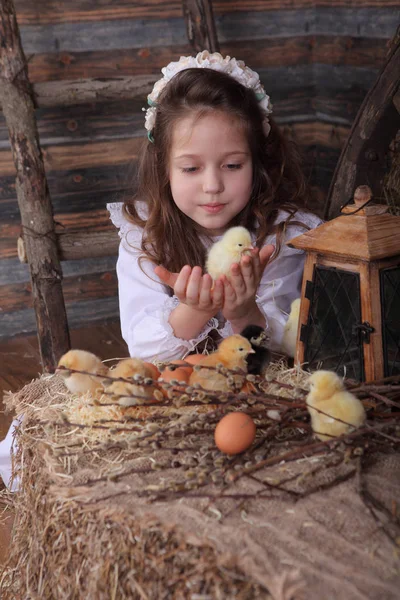 Girl in a white dress holding in her hands the chicken — Stock Photo, Image