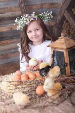 küçük bir canlı tavuk ile oynayan kız
