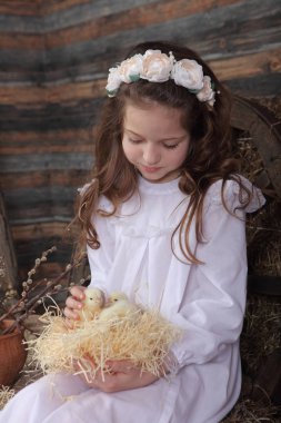 Bir yuva ile tutarak bir çelenk kız canlı tavuk