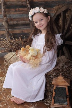 Bir yuva ile tutarak bir çelenk kız canlı tavuk