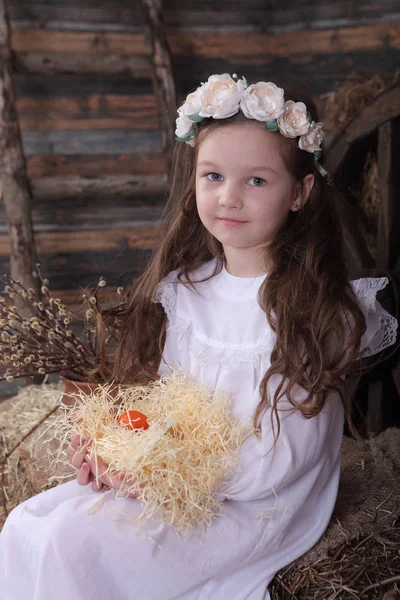 Chica en una corona sosteniendo un nido con gallinas vivas —  Fotos de Stock