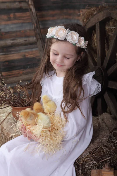 Girl in a wreath holding a nest with live chickens — Stock Photo, Image