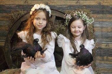 çelenk kızlarda canlı güvercin tutuyorsun 