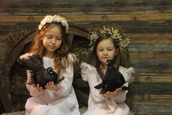 Girls in wreaths are holding live pigeons — Stock Photo, Image