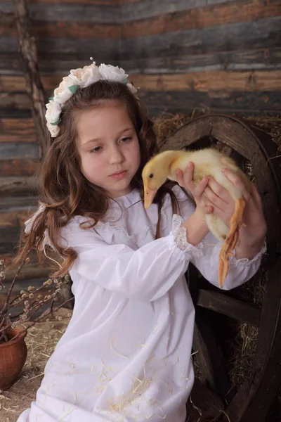 Menina em uma grinalda detém um pato vivo — Fotografia de Stock