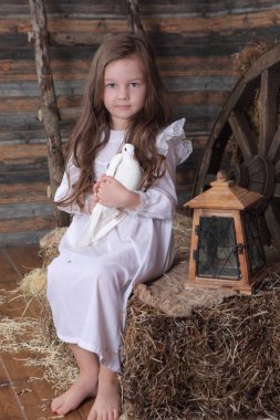 kız canlı bir beyaz güvercin elinde tutan bir çelenk