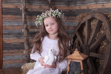 kız canlı bir beyaz güvercin elinde tutan bir çelenk