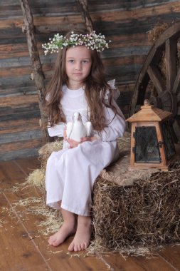 kız canlı bir beyaz güvercin elinde tutan bir çelenk