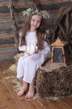 kız canlı bir beyaz güvercin elinde tutan bir çelenk