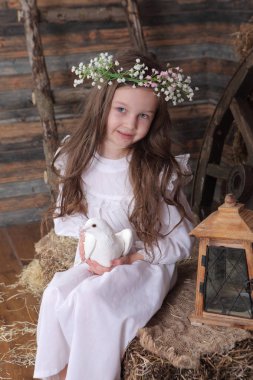 kız canlı bir beyaz güvercin elinde tutan bir çelenk