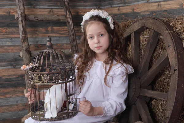 Niña en una corona sosteniendo en su mano una paloma blanca viva —  Fotos de Stock