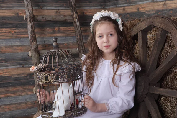 Chica en una corona sosteniendo una jaula con una paloma blanca viva —  Fotos de Stock