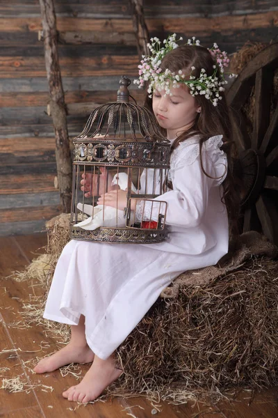 Girl in a wreath holding a cage with a live white dove — Stock Photo, Image