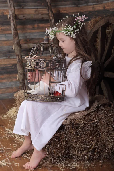 Girl in a wreath holding a cage with a live white dove — Stock Photo, Image