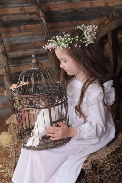 Mädchen im Kranz hält einen Käfig mit einer lebenden weißen Taube — Stockfoto