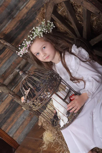 Chica en una corona sosteniendo una jaula con una paloma blanca viva —  Fotos de Stock