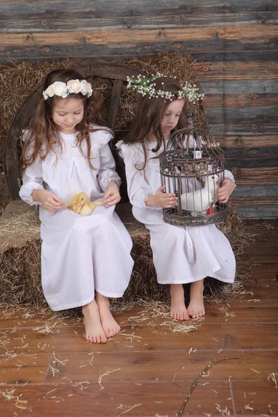Dos chicas novias están sosteniendo un pato vivo y una jaula con un — Foto de Stock