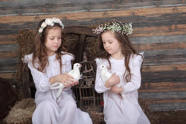 Dos chicas novias celebración de vivir palomas blancas —  Fotos de Stock