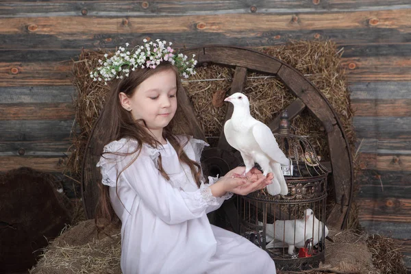 A live dove is sitting in the hands of the girl in a wreath of f — Stock Photo, Image