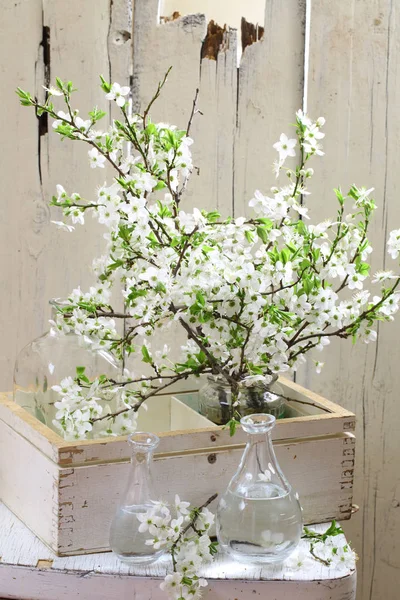 Ramo de ramas de membrillo en un jarrón sobre fondo de madera — Foto de Stock