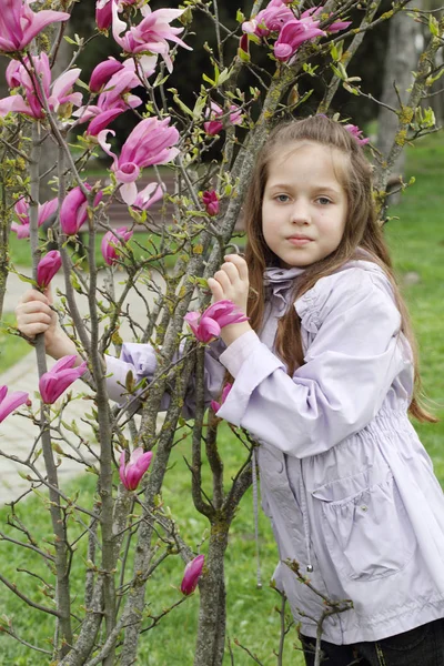 Meisje in paarse mantel in de buurt van de bloeiende Magnolia boom — Stockfoto