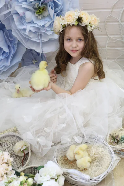 Chica en una corona y un vestido blanco jugando con un pato vivo —  Fotos de Stock