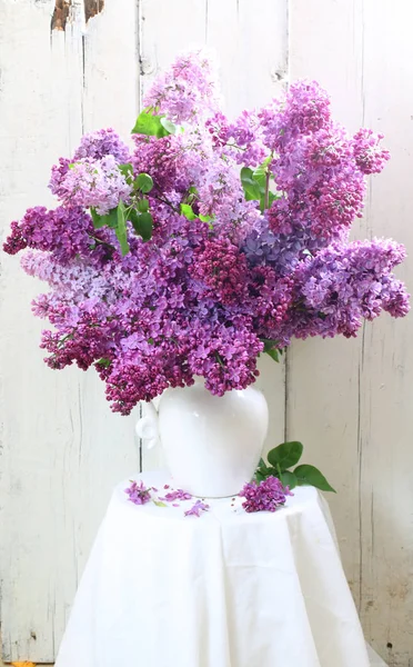 Lilas en vase en céramique blanche — Photo