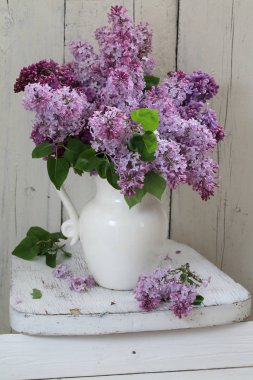 Beyaz seramik vazoda leylak 