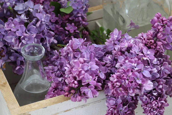 Lila. tak van lila in een wit vak en een doorzichtige vaas — Stockfoto