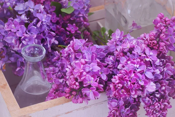 Du lilas. Bouquet de lilas dans une boîte blanche et vase en verre — Photo