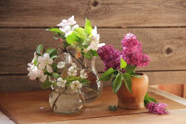 leylak ve bir buket çiçek açan elma ağacı dalları bir vazoda