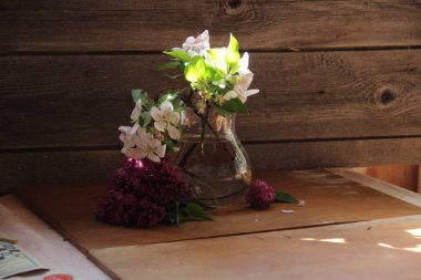 bir sürü elma çiçekleri açık kavanozda twigs