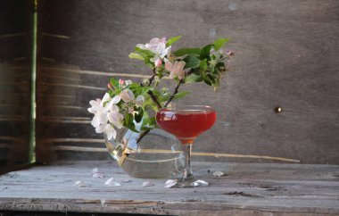 kiraz jöle ve elma çiçeği twigs bir demet