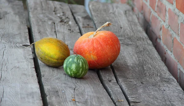 Karpuz, kabak ve ahşap bir masa kavun — Stok fotoğraf