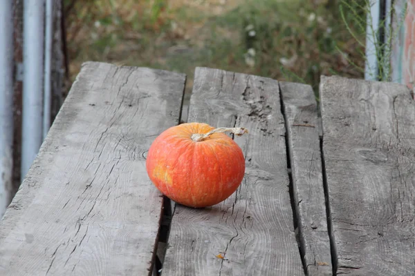 Balkabağı. Olgun turuncu ahşap bir masaya kabak — Stok fotoğraf