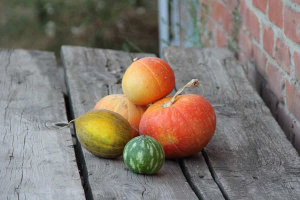 Karpuz, kabak ve ahşap bir masa kavun — Stok fotoğraf