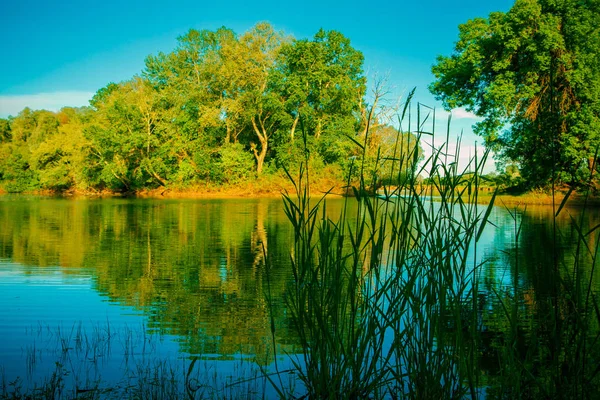Gyönyörű táj, kilátással az erdei tóhoz — Stock Fotó