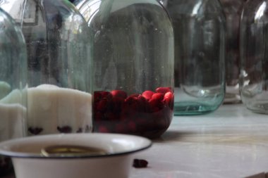 Kızılcık kış Komposto hasat işlemi