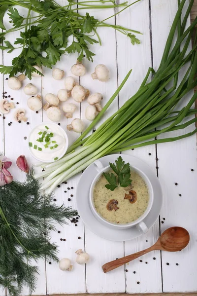 Soup - puree with champignons — Stock Photo, Image