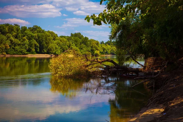 Красивый летний пейзаж с видом на реку — стоковое фото